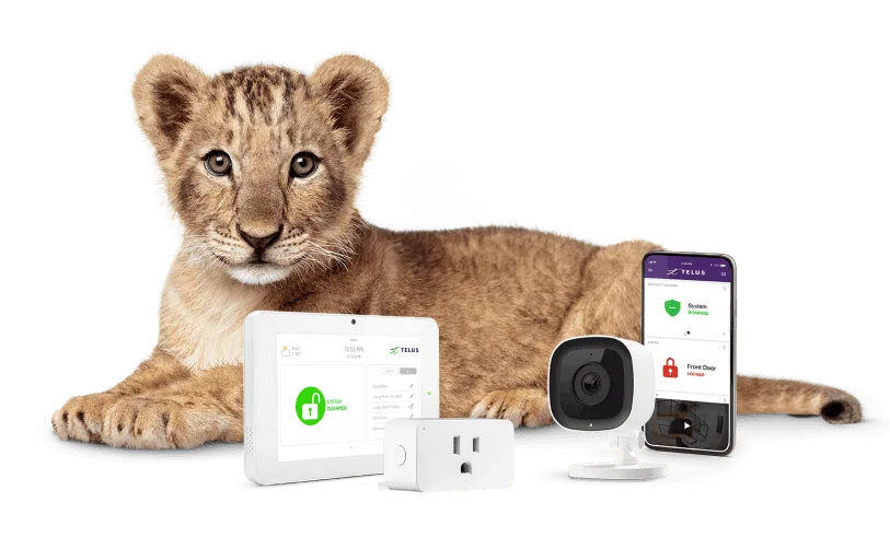 A TELUS lion cub critter next to a range of home security devices.