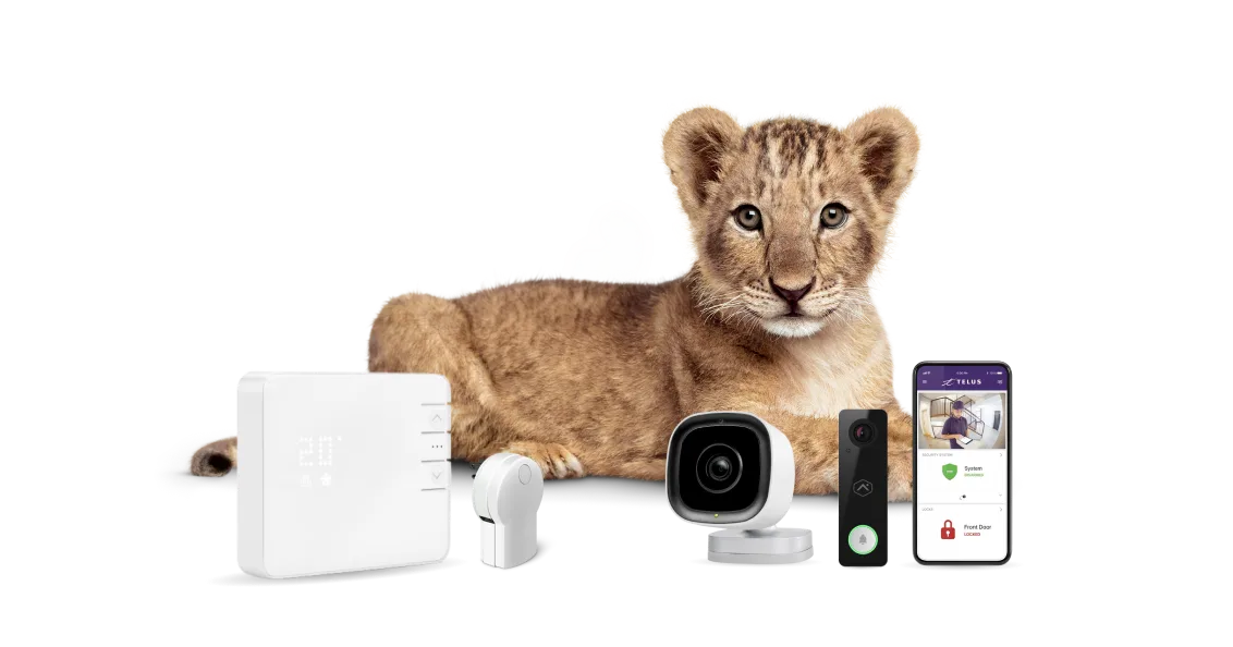 A TELUS lion cub critter next to a range of home security devices.