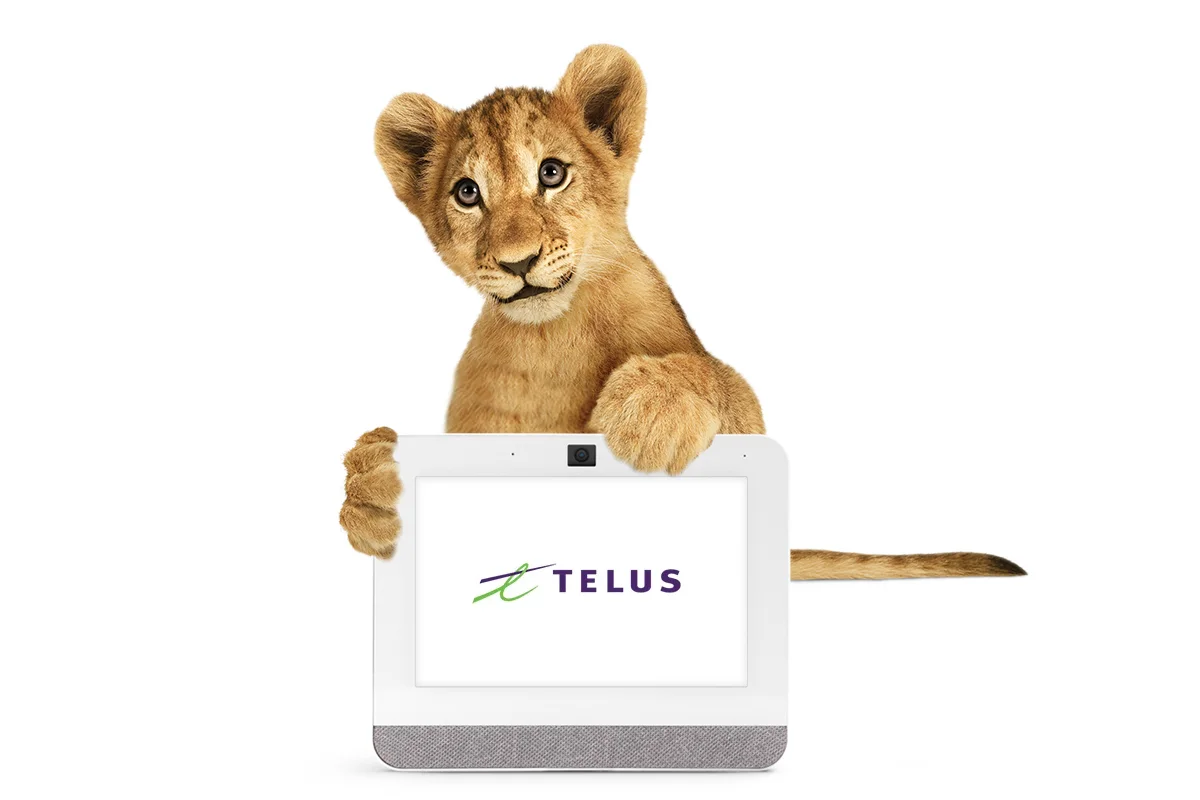 A lion cub holding a TELUS SmartHome Security control panel