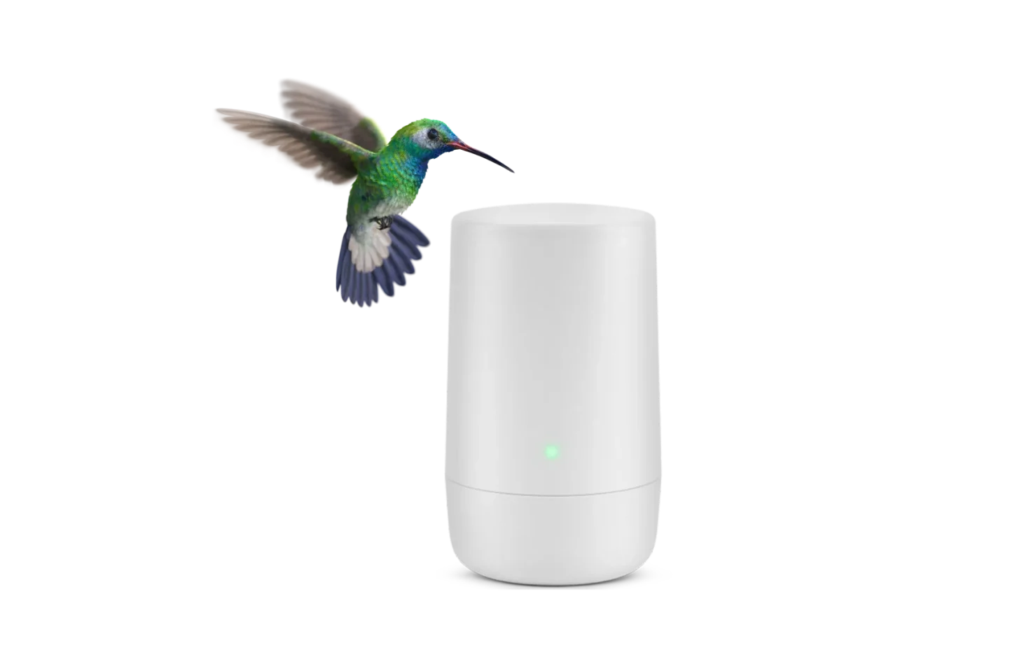 A hummingbird, representing the speed of TELUS PureFibre internet, in front of a wireless internet device.