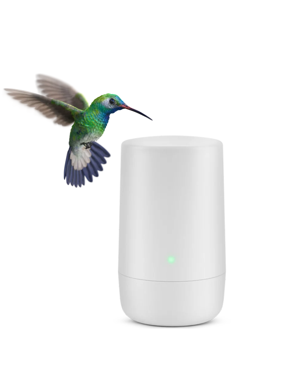 A hummingbird, representing the speed of TELUS PureFibre internet, in front of a wireless internet device.