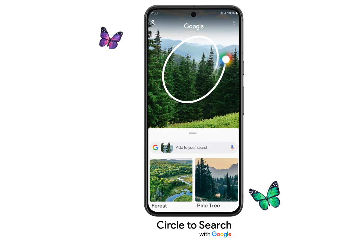 Front view of the Google Pixel 8. The screen displays Google's Circle to Search feature used on an image of a forest. 