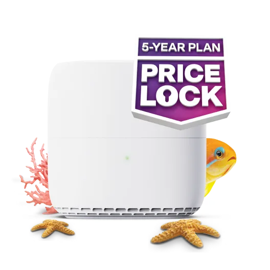White Wi-Fi router surrounded by coral and starfish, featuring a badge that reads "5-Year Plan Price Lock.