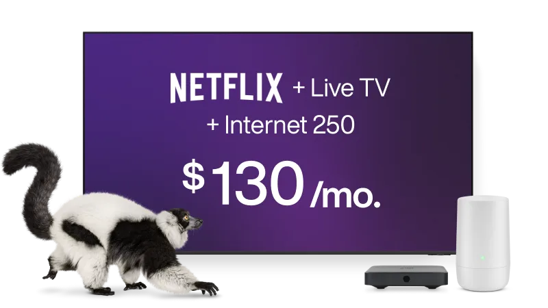 A lemur crawling towards a TV, digital box and TELUS modem. The TV displays the text “Netflix + Live TV + Internet 250 from $130 per month”.