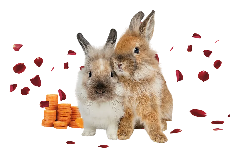 Three bunnies snuggling behind stacks of coin-shaped carrot slices with green and purple confetti in the background. 