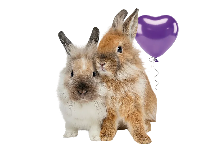 Three bunnies snuggling behind stacks of coin-shaped carrot slices with green and purple confetti in the background. 