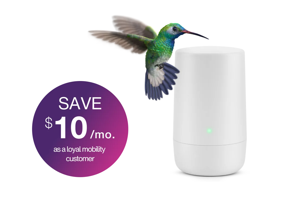 An image showing a hummingbird landing on a TELUS Internet device with a roundel that says "Save $10 per month as a loyal mobility customer".