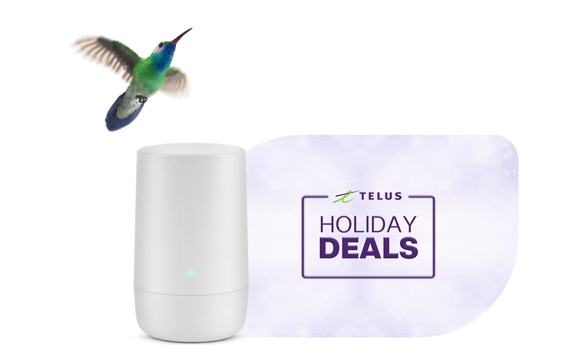 A humming bird hovering over a TELUS modem next to text that reads ‘Holiday deals’ and ‘Save with code HOLIDAYDEALS.’