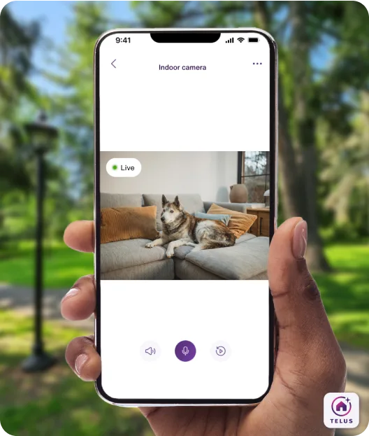 A hand holding a phone displaying the TELUS SmartHome+ app which is showing the live camera feed of a dog sitting on a couch.