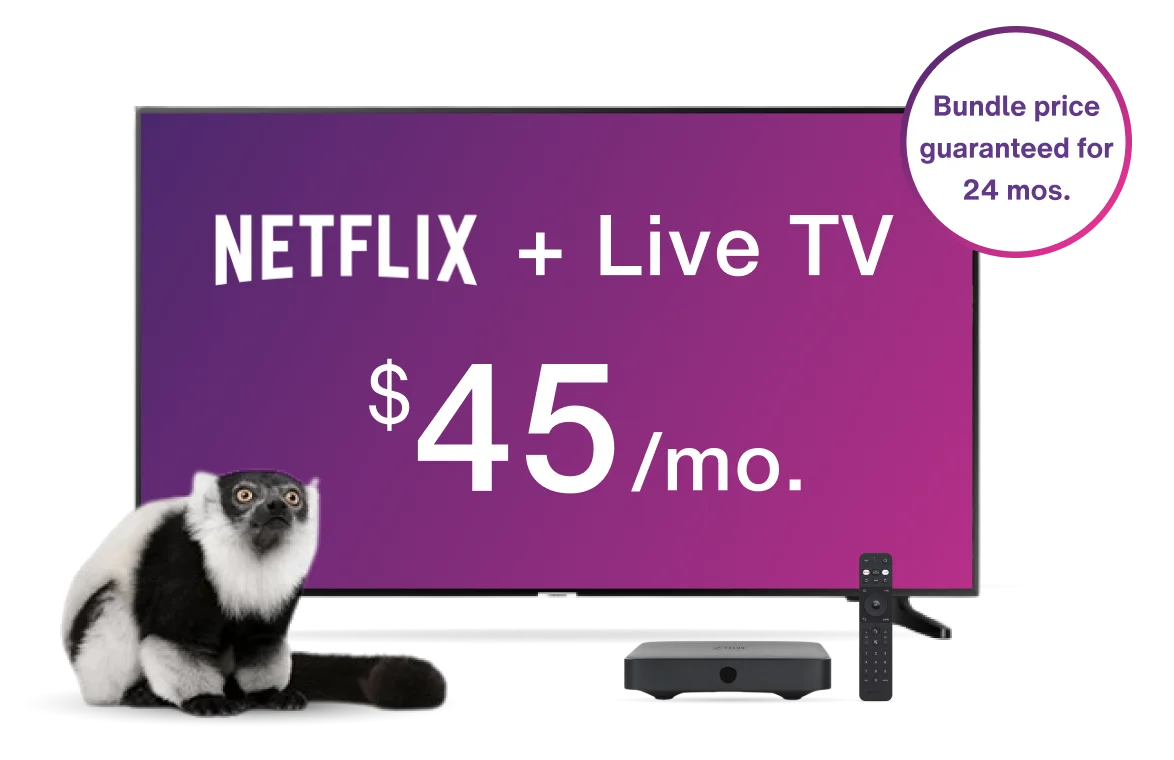 A TV displays the Optik TV offer of live TV and Netflix together with a TELUS TV Digital Box while a lemur looks on.