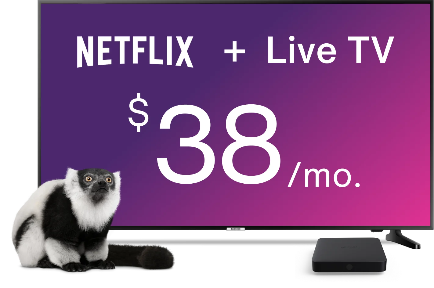 A TV displays graphics for the TATA IPL Live on Willow TV and the TELUS TV Digital Box.