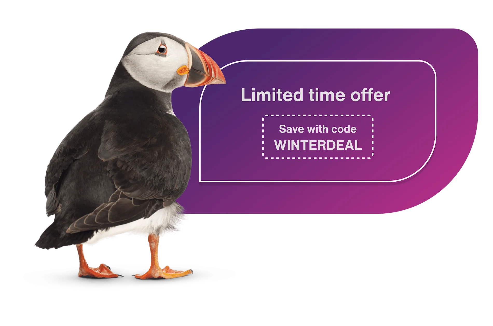 A puffin standing next to a sticker that reads: Limited time offer. Save with code WINTERDEAL.