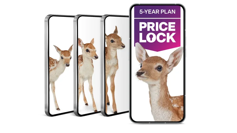 '5-Year Plan Price Lock'. Four smartphones arranged in an overlapping cascade, each displaying images of a deer in different poses.
