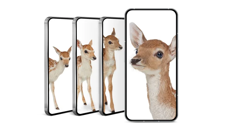 Four smartphones arranged in an overlapping cascade, each displaying images of a deer in different poses.
