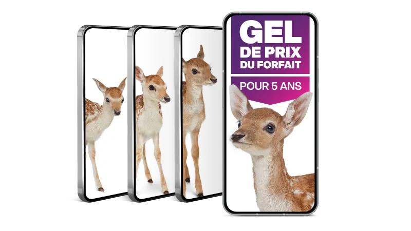“Gel de prix du forfait pour 5 ans”. Quatre téléphones intelligents disposés en cascade, chacun affichant des images d’un cerf dans différentes positions.