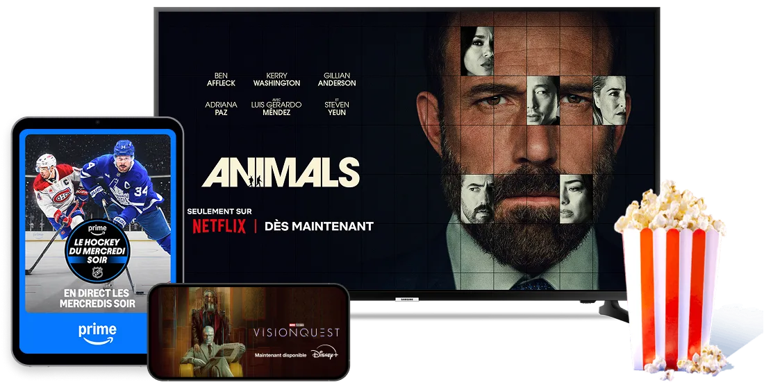 Des films et des séries de Netflix, Disney+ et Amazon Prime sont diffusés.