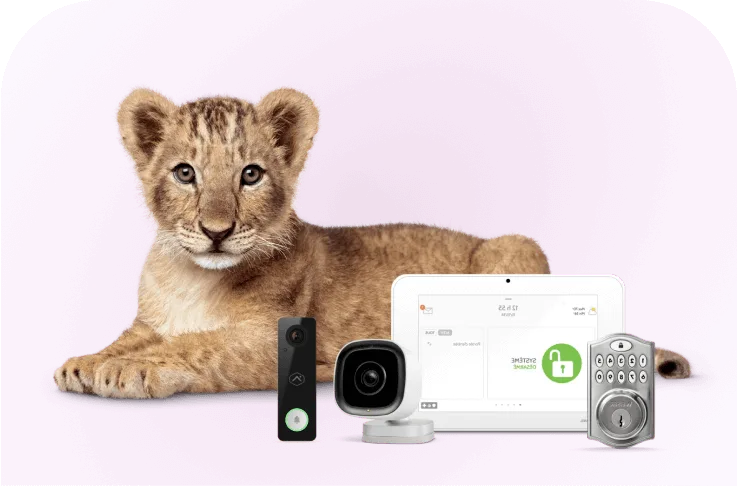 A TELUS lion cub critter next to a range of home security devices.