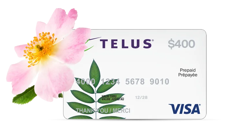 A polar bear standing next to a $400 Visa Prepaid card.