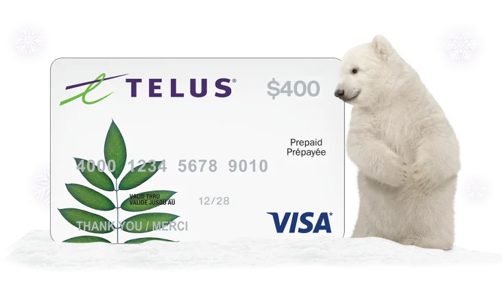 A polar bear standing next to a $400 Visa Prepaid card.