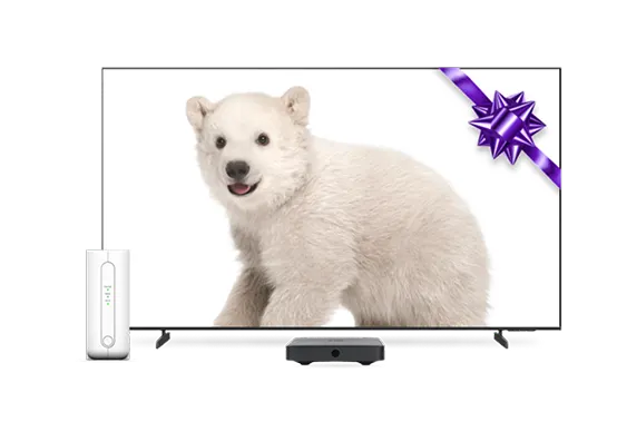 A TV and TELUS modem. The TV screen displays a polar bear and purple bow.