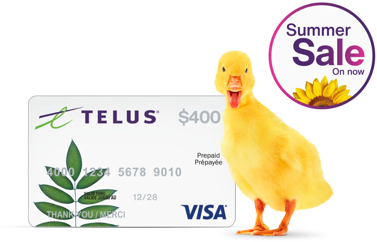 A duckling stands in front of a $400 gift card. A roundel in the top right corner reads, "Summer Sale on Now."