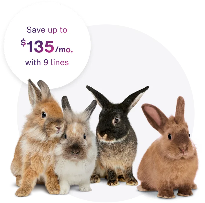 Four rabbits sit in a row. Above them is a circle with text inside reading “Save up to $135 per month with 9 lines”.