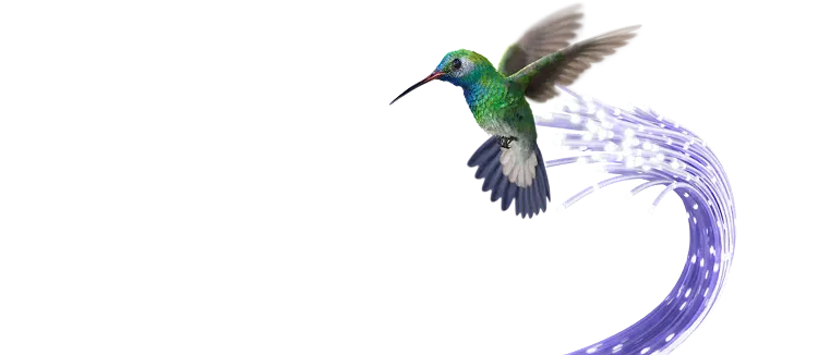 A hummingbird hovering over a cityscape with a blue fibre optic cable flowing behind it in its path.