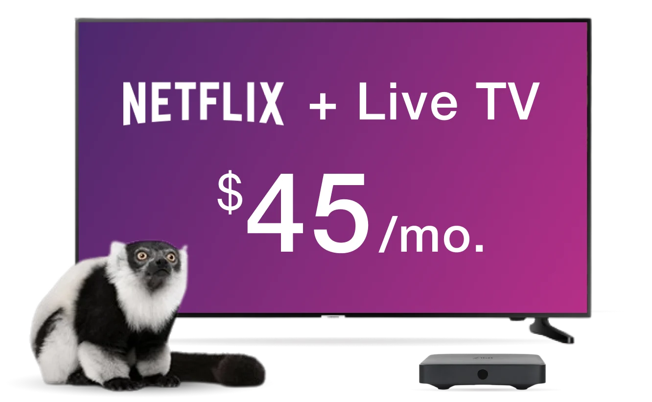 A lemur is in front of a TV displaying graphics for Netflix + Live TV $40/mo. and the TELUS TV Digital Box.