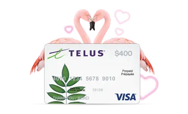 A TELUS Visa prepaid card. In the background are two flamingos kissing with pink hearts floating around them.