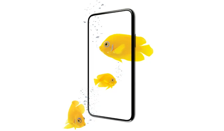 Three yellow fish swim in and around a smartphone. 