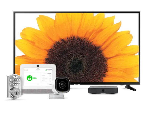 An image showing a large TV with sunflower background and TELUS SmartHome security devices.