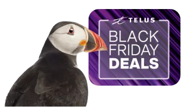 A Puffin stands in front of a logo that reads, "Black Friday Deals".