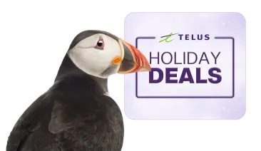 A Puffin stands in front of a logo that reads, "Holiday Deals".