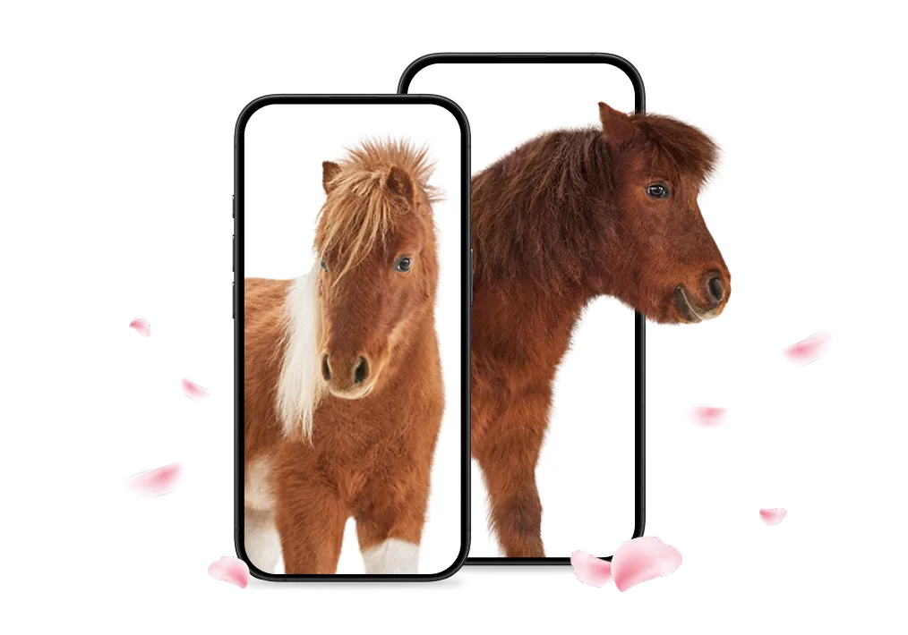 两匹小马驹从手机屏幕中跃出，花瓣在周身轻盈飘舞。