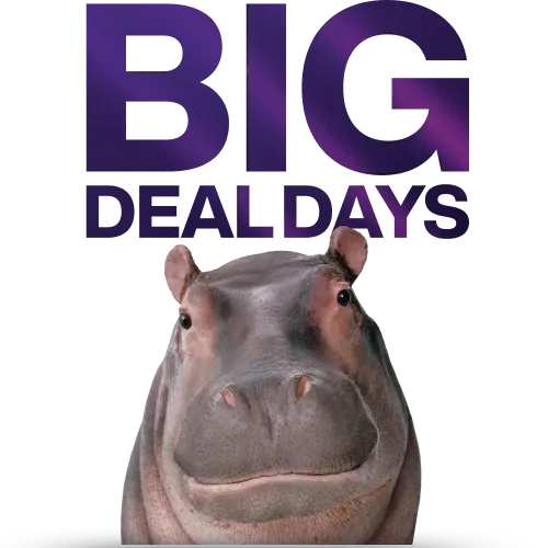 A close up image of a smiling hippo. Text reads “Big Deal Days”.