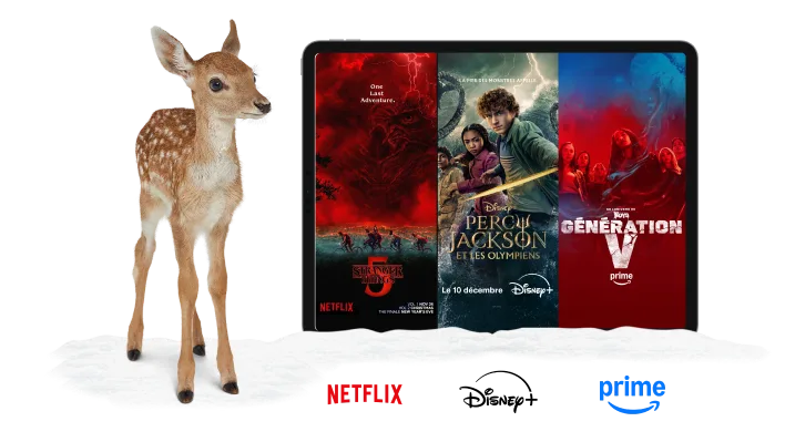 Un cerf debout à côté d’une tablette. Un ours polaire debout à côté d’une tablette. La tablette affiche des affiches de Stranger Things, Percy Jackson, et Gen V. Les logos de Netflix, Disney+ et Amazon Prime se trouvent en dessous de la tablette.