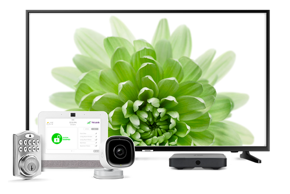 Build the bundle that works best for you with Optik TV, internet, home security and more.