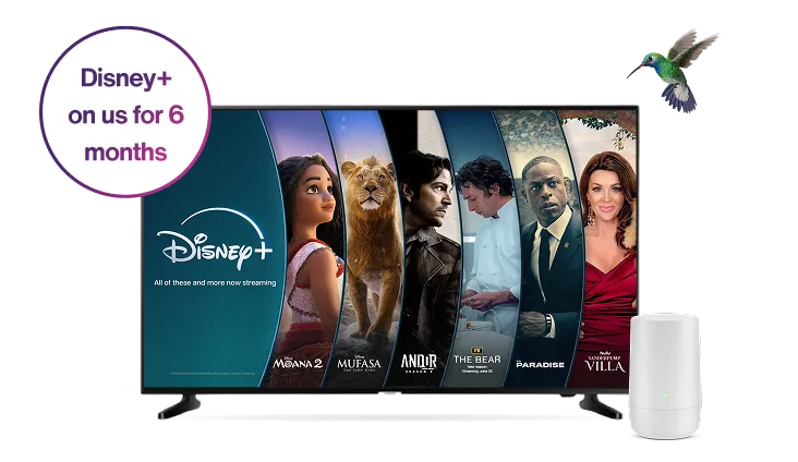 A large TV, TELUS modem and hummingbird. The TV displays popular Disney+ posters. A roundel on the left reads: Disney+ on us for 6 months.