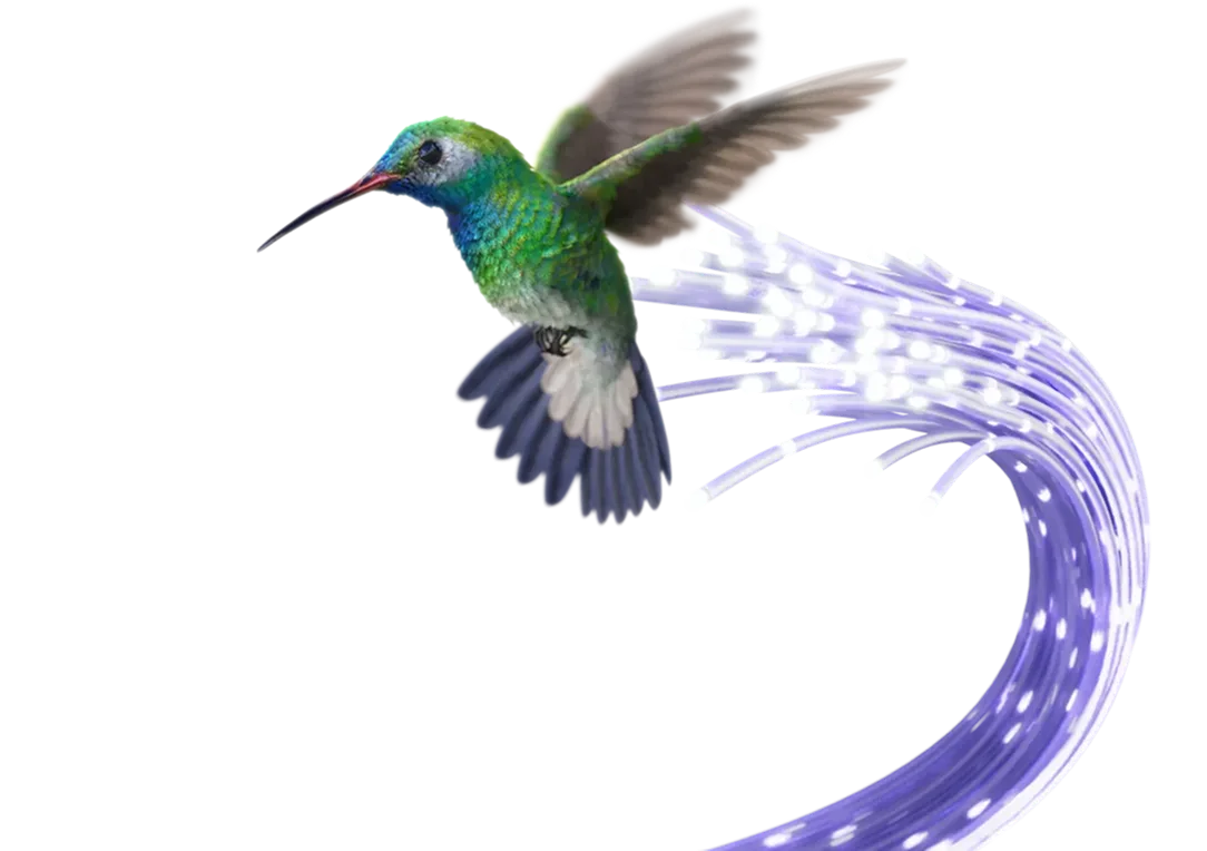 A hummingbird hovering over a cityscape with a blue fibre optic cable flowing behind it in its path.