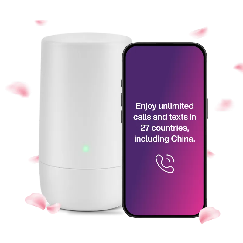 A Puffin stands in front of a logo that reads, "Boxing Week Deals".