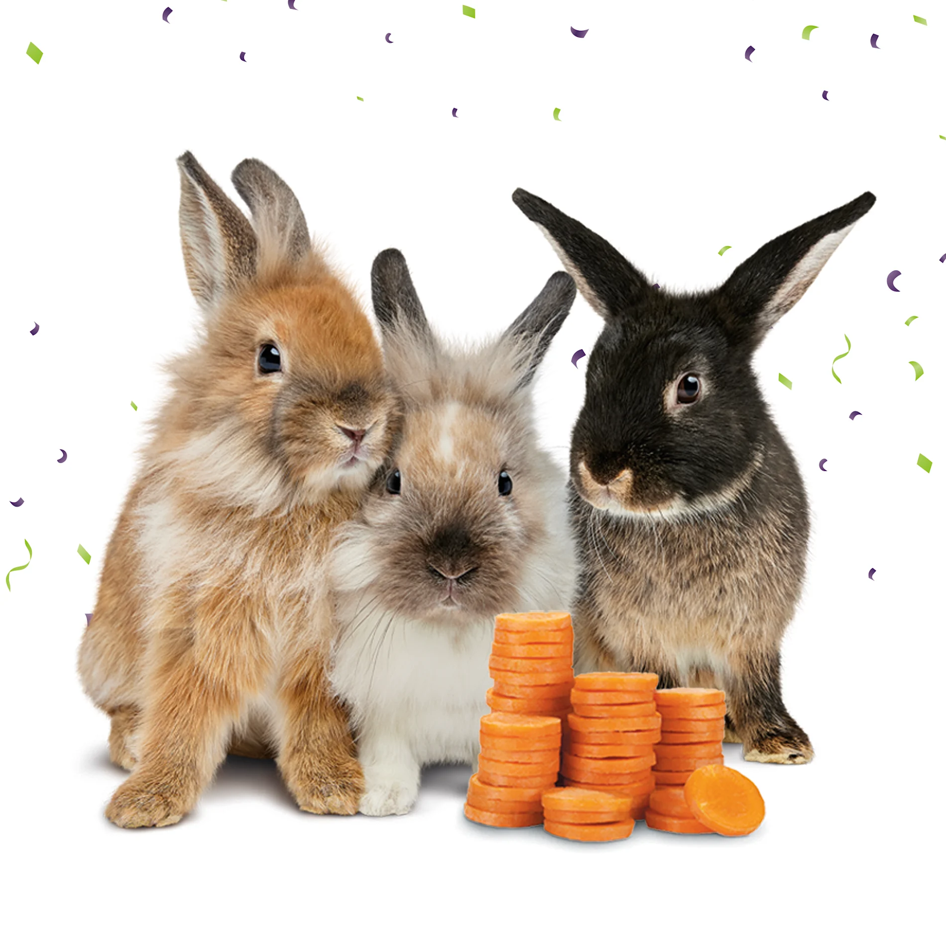 Bunnies with carrots that look like coins.