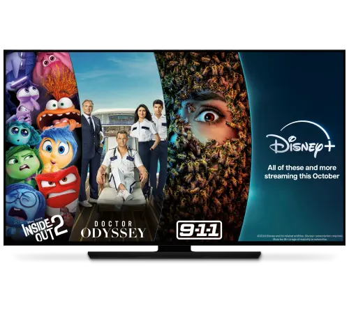 A television displays posters. From left to right:  Inside Out 2, Doctor Odyssey and 9-1-1. To the right of the posters is a logo for Disey+. Below, text reads “All of these and more streaming this October”.