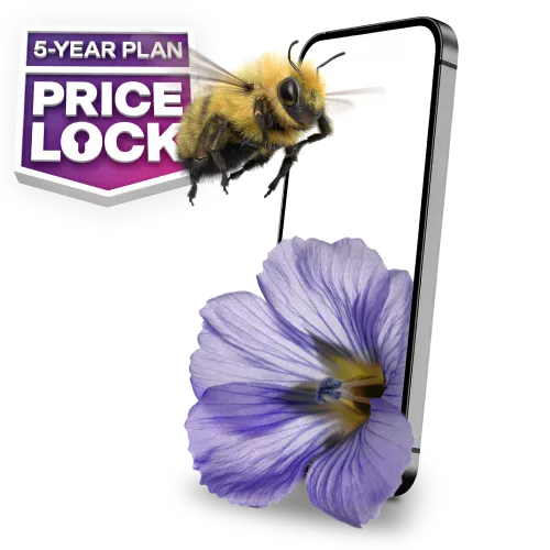 '5-YEAR PLAN PRICE LOCK' A bumblebee flies towards a smartphone with a purple flower.