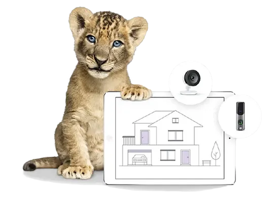 A lion cub posing with a tablet that has a lined drawing of a house on it, and photos of a security camera and a doorbell camera.