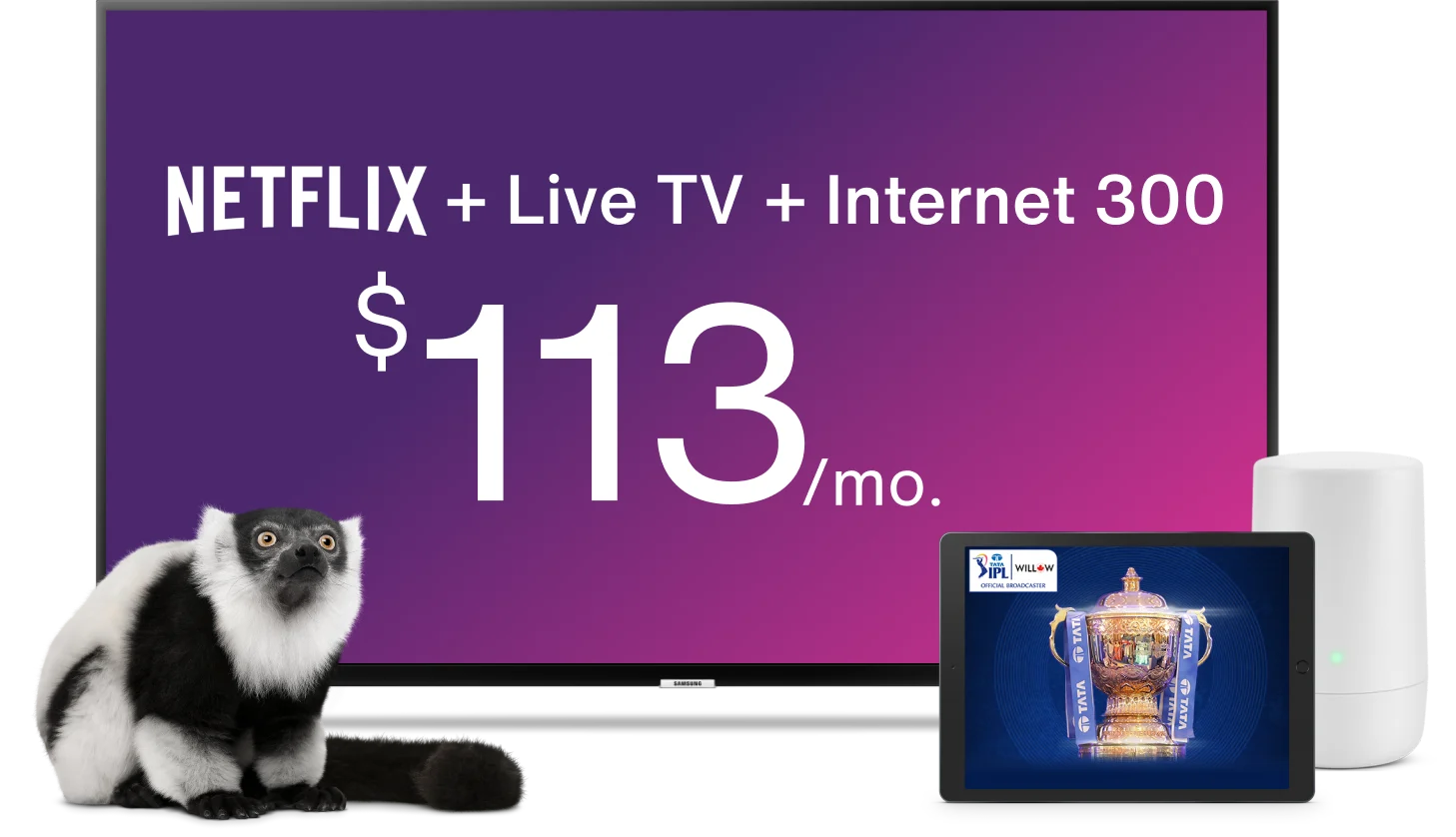 A TV displays the Optik TV offer of live TV and Netflix together with a TELUS TV Digital Box and a tablet showing the TATA IPL Live on Willow TV while a lemur looks on.