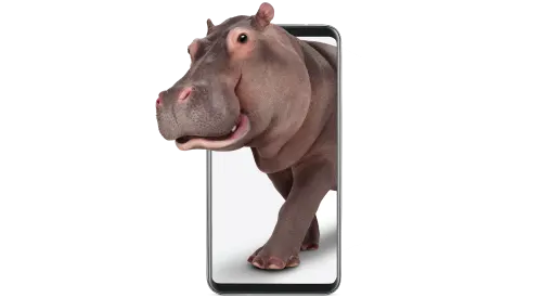 Un hippopotame sort de l’écran d’un téléphone symbolisant nos options Protection complète d'appareils exclusives.