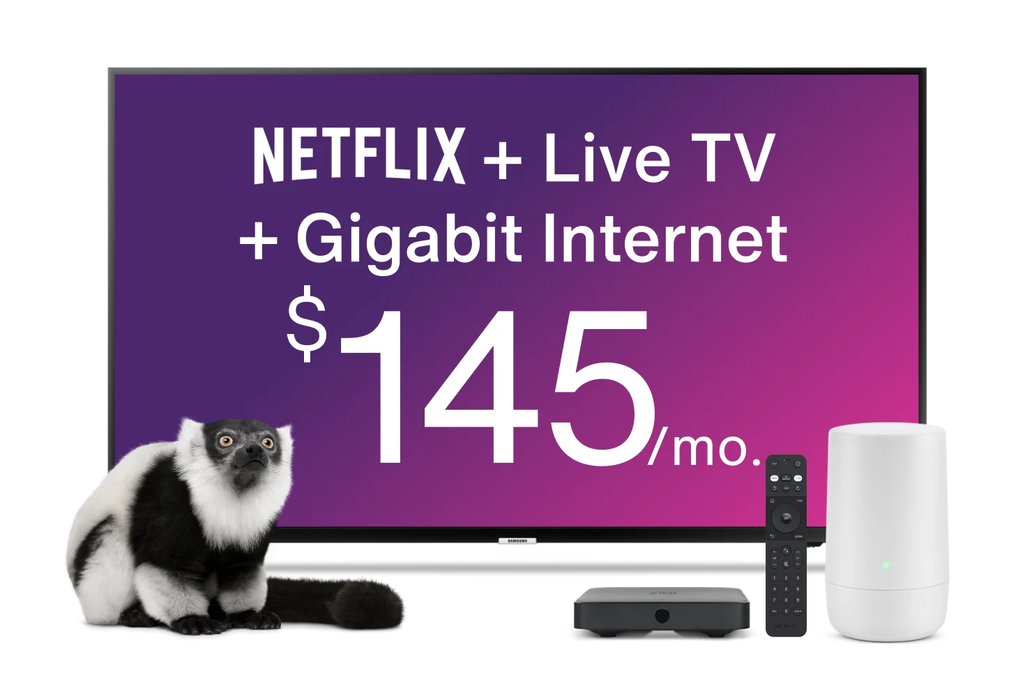 An image showing a TV with a lemur, TV box, Internet device and control on the foreground. The TV has a text that reads "Netflix plus Live TV plus Gigabit Internet for $145 per month".