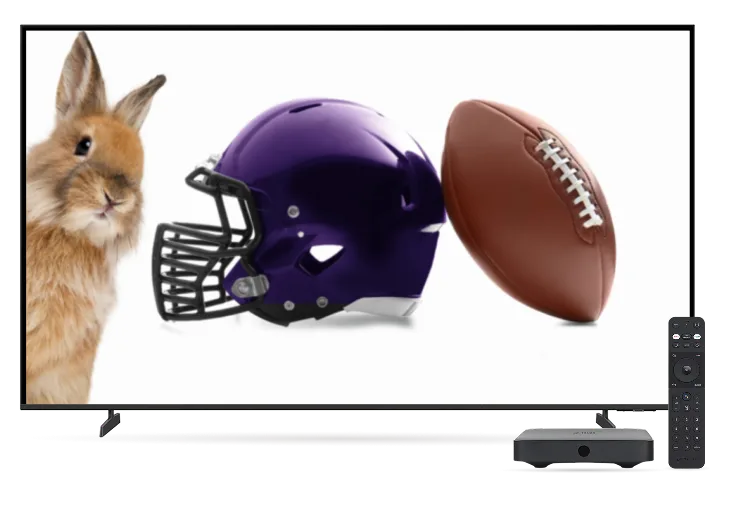 A TV displaying a TELUS bunny, a purple helmet and a football.