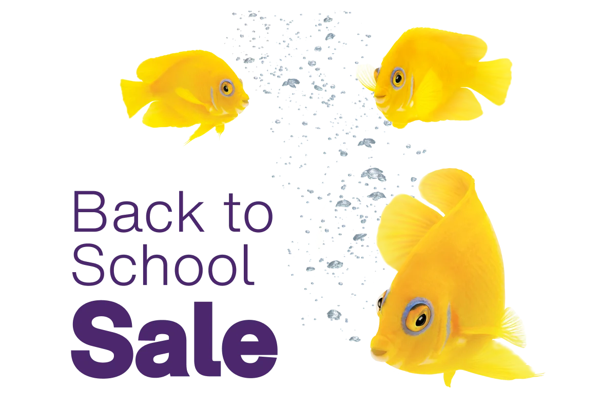 Three vibrant yellow fish swim around the words “Back to School Sale”.