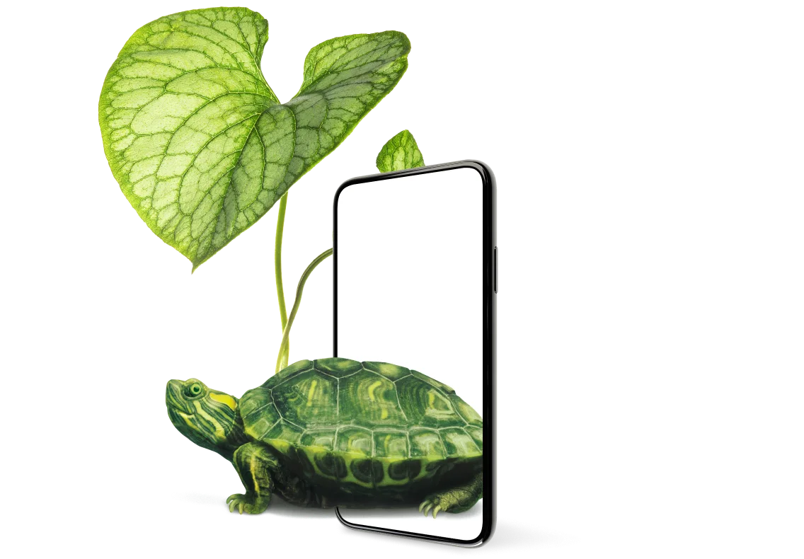 A striking example of the strong safeguard provided by Device Care Complete is shown as a turtle emerges from within a smartphone, its shell shaded by a lush green leaf.